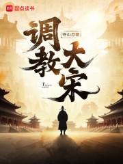 《调教大宋》