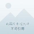 炼丹狂潮