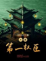 乘龙佳婿