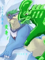 上门佳婿